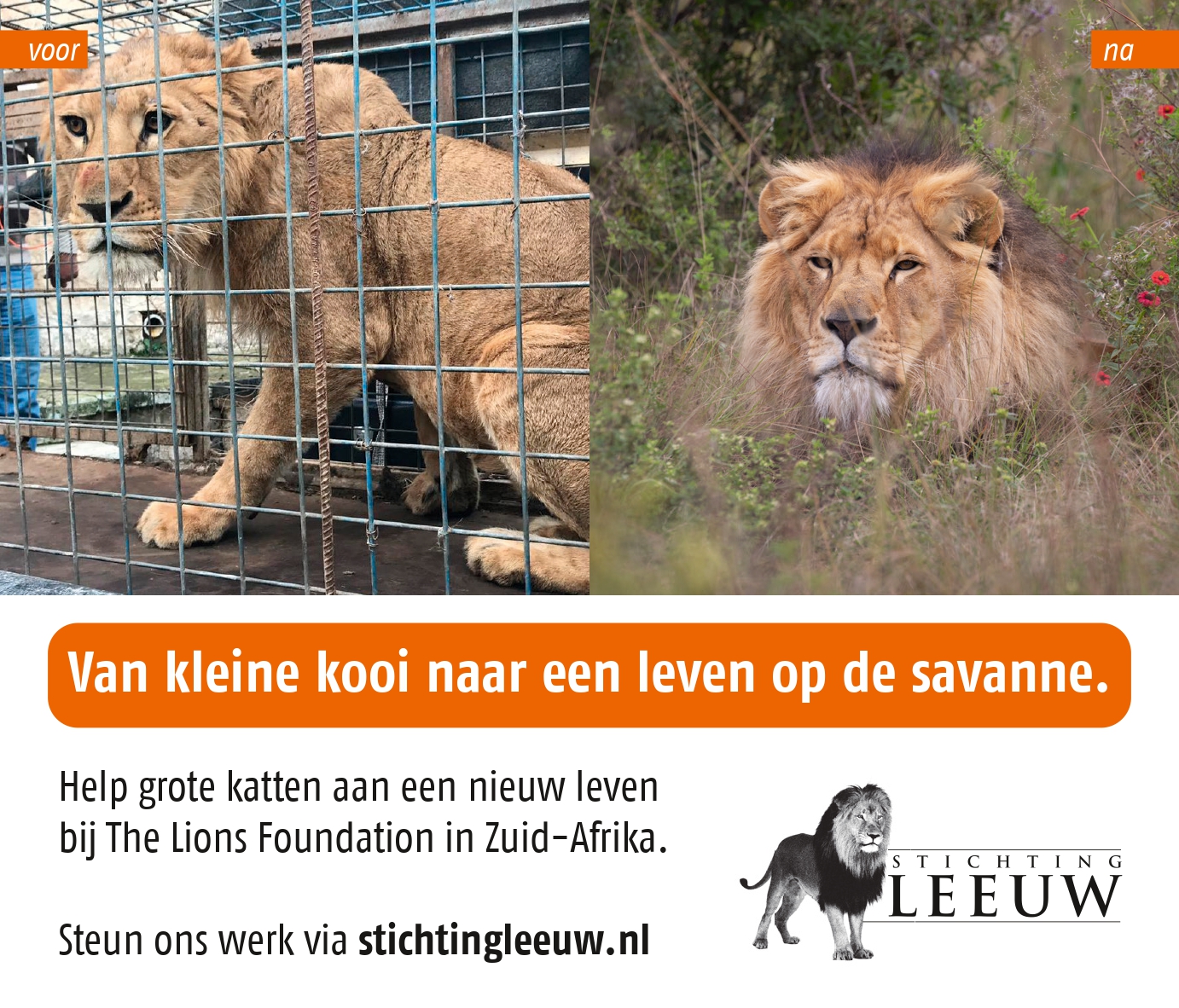 Stichting Leeuw